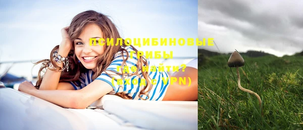 не бодяженный Белокуриха
