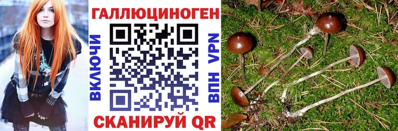 Галлюциногенные грибы GOLDEN TEACHER  магазин продажи   Светлый 